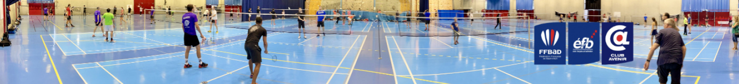 Valence Badminton